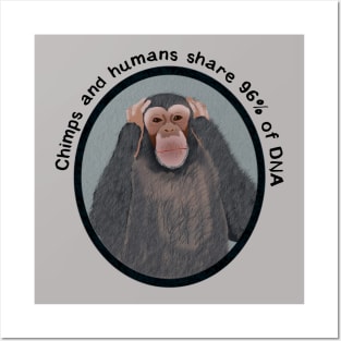 Chimps and Humans Posters and Art